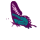 Codecademy profile picture for @smoke