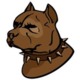 Codecademy profile picture for @grayson