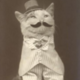 Codecademy profile picture for @fuller