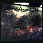 Codecademy profile picture for @altar