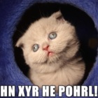 Codecademy profile picture for @lexa