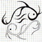 Codecademy profile picture for @Patriot