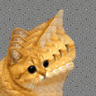 Codecademy profile picture for @fact