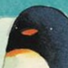 Codecademy profile picture for @Freya