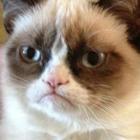 Codecademy profile picture for @architect