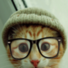 Codecademy profile picture for @Client
