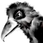 Codecademy profile picture for @patterns