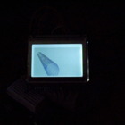 Codecademy profile picture for @Duality