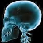 Codecademy profile picture for @Dulled