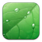 Codecademy profile picture for @swoop