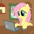Codecademy profile picture for @Touchy