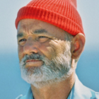Codecademy profile picture for @Bears