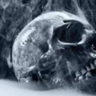 Codecademy profile picture for @Smoked