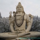 Codecademy profile picture for @Jeeva