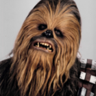 Codecademy profile picture for @Communism