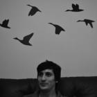 Codecademy profile picture for @Nicolas