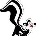 Codecademy profile picture for @Punk