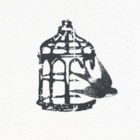 Codecademy profile picture for @Romance