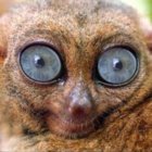 Codecademy profile picture for @Paredes
