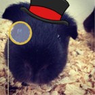 Codecademy profile picture for @Vral