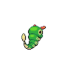 Codecademy profile picture for @adhesive