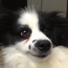 Codecademy profile picture for @cooties