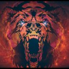 Codecademy profile picture for @Exotic