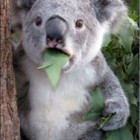 Codecademy profile picture for @handler