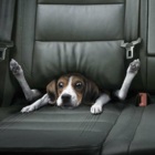 Codecademy profile picture for @perturbed