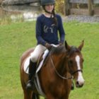 Codecademy profile picture for @Equestrian