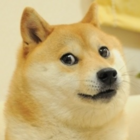 Codecademy profile picture for @Princely