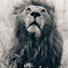 Codecademy profile picture for @Wage