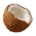 Codecademy profile picture for @Coconuts