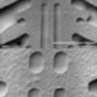 Codecademy profile picture for @Marzipan