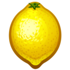 Codecademy profile picture for @Lxv