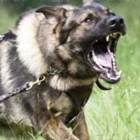 Profile image of HackYoMamma