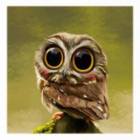 Codecademy profile picture for @felipe01