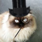 Codecademy profile picture for @exits